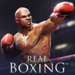 Real Boxing GR