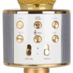 میکروفون اسپیکر WSTER WS-858