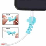 محافظ نگهدارنده کابل