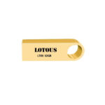 فلش 32GB گیگابایت LOTOUS L703 GOLD